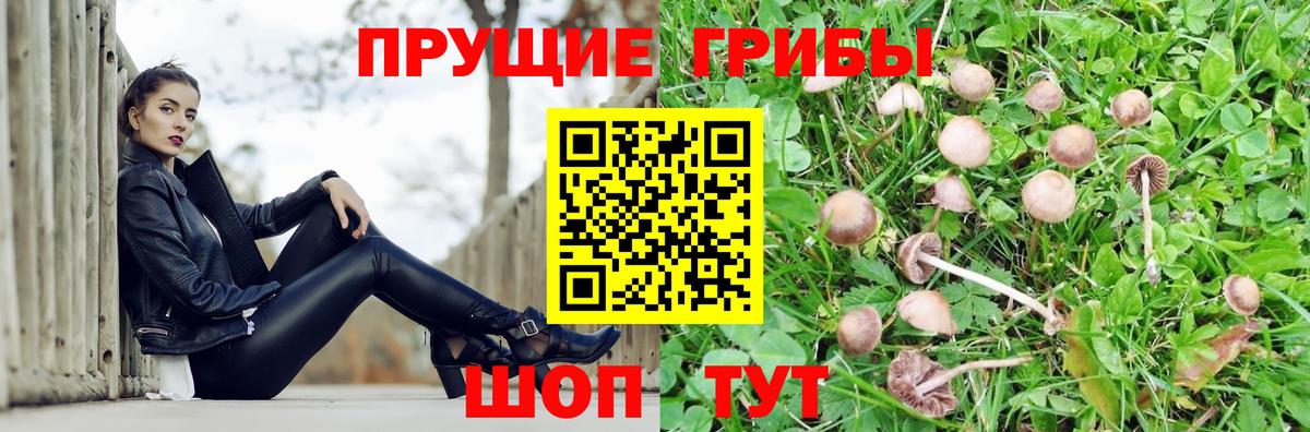 Галлюциногенные грибы GOLDEN TEACHER Миллерово